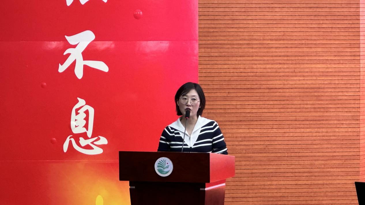 图片11